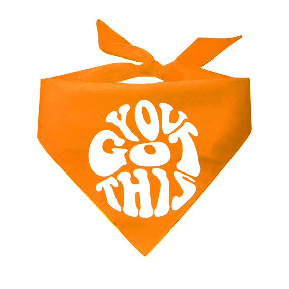 You Got This Triangle Dog Bandana