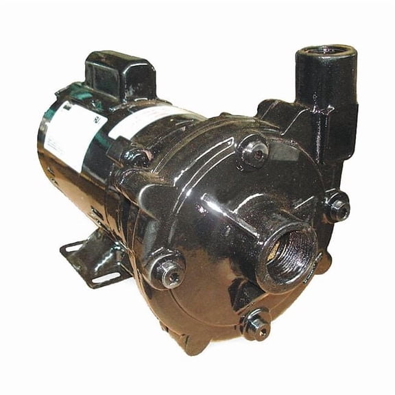 Dayton Straight Centrifugal High Head Pump,1 HP 55JJ74