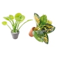 thumbnail image 4 of GOOHOCHY 2 bonsáis en miniatura realistas, plantas artificiales en maceta para el hogar, la oficina, el jardín pequeño, modelo de bonsái, vegetación única para interiores., 4 of 8