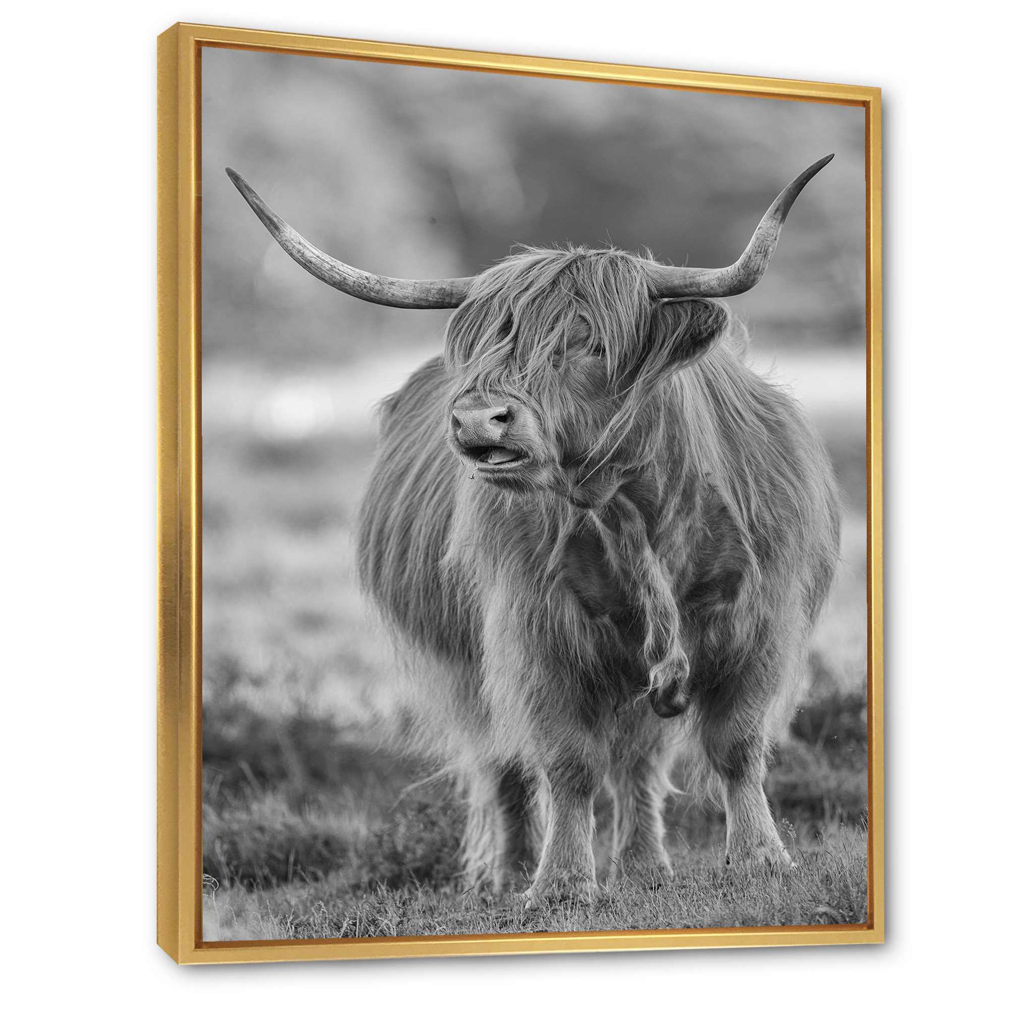 Close Up View of Monochrome Bull 24 in x 32 in Framed Painting Canvas Art Print, by Designart