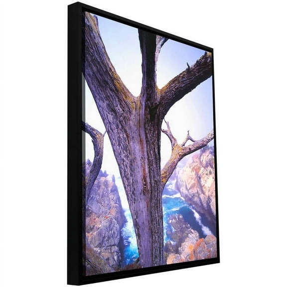 ArtWall Dean Uhlinger "Morning Fog And Cypress" Floater Framed Gallery-Wrapped Canvas