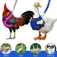 thumbnail image 6 of Adjustable Mesh Chicken Leash Pet Harness for Ducks Outdoor Walking Control Poultry Training Soft Nylon Rope with Clasp for Hens Pet Safety, 6 of 7
