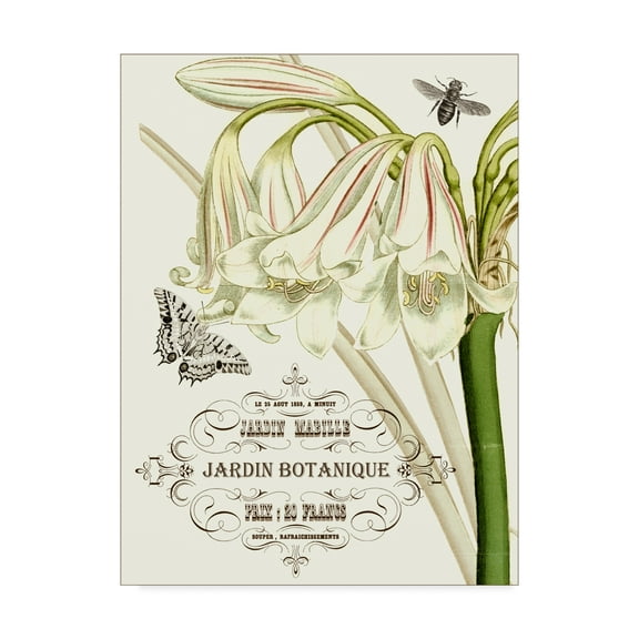 Trademark Fine Art 'Jardin Botanique I' Canvas Art by Vision Studio