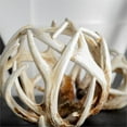 thumbnail image 2 of Mercana Ramus II 7" Brown and Tan Resin Horn Shaped Decorative Orb, 2 of 3