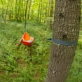 thumbnail image 2 of Eagles Nest Outfitters Atlas EXT Straps, 2 of 3