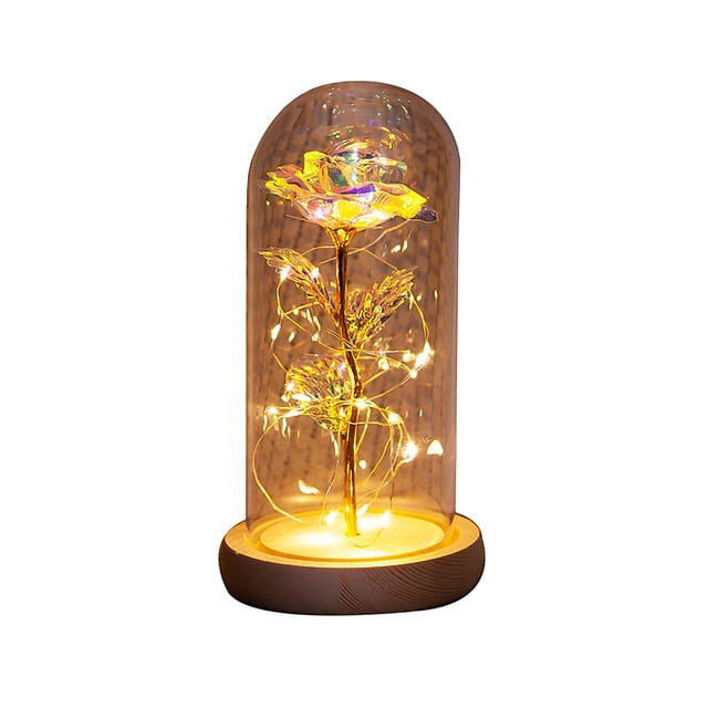 Eternal Rose Flower Rose Glass Dome Lámpara Led Decoración Para El Hogar Boda Navidad Día De San Valentín Methold HA027172-01