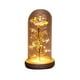 thumbnail image 1 of Eternal Rose Flower Rose Glass Dome Lámpara Led Decoración Para El Hogar Boda Navidad Día De San Valentín Methold HA027172-01, 1 of 5