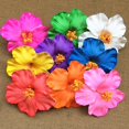 thumbnail image 3 of HLONK 3 PCS/Set Barrettes for Girls Tropical Flower Hair Accessories, 3 of 8