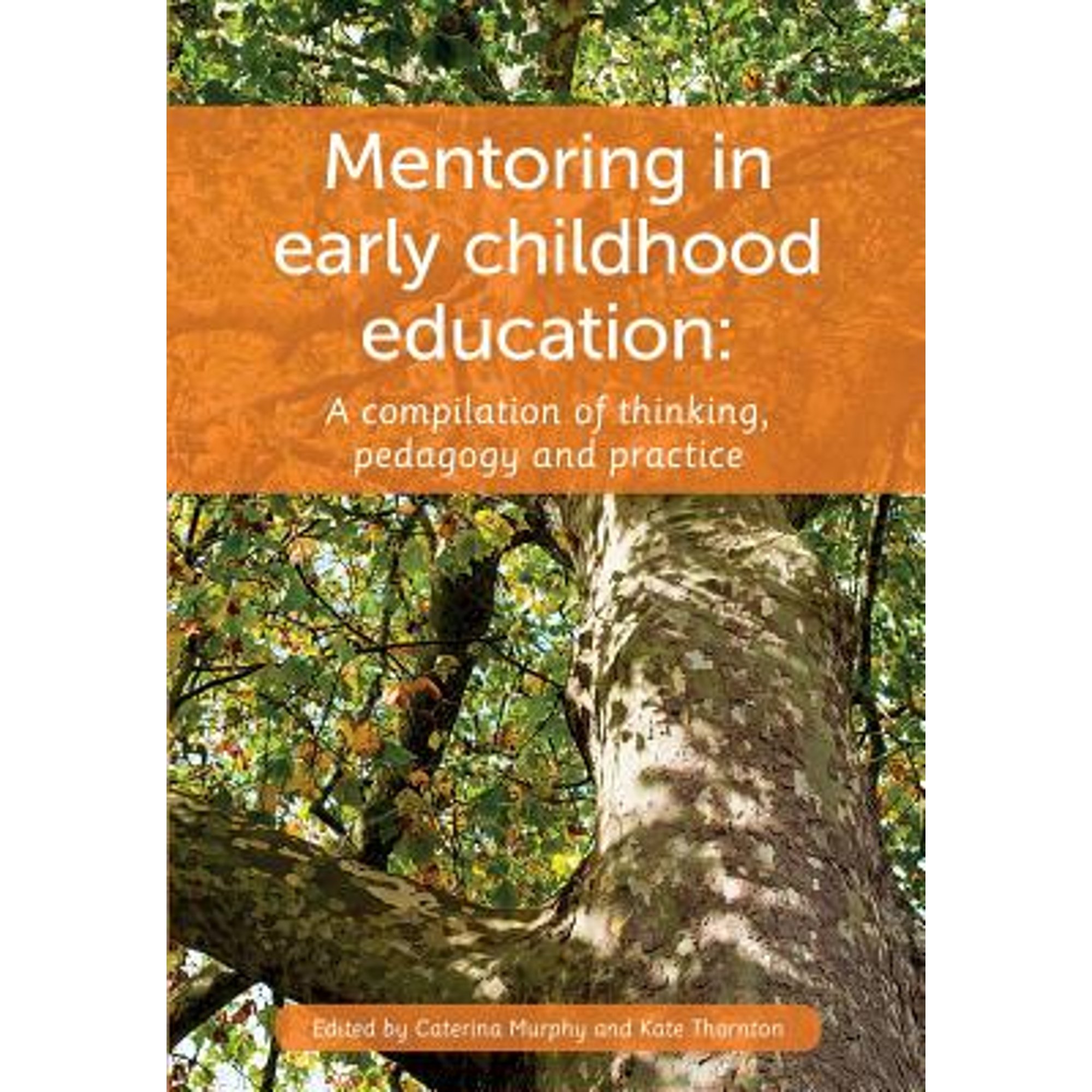 Pre-Owned Mentoring in Early Childhood Education - Walmart.com