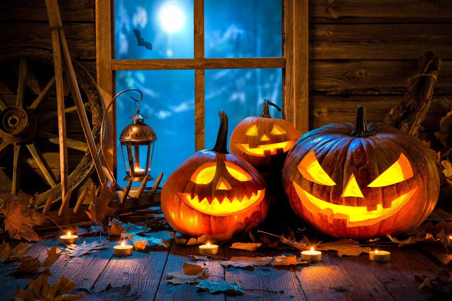 free halloween backdrops for photography