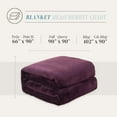 Elegant Comfort Luxury Velvety Feel Blanket, AllSeason Lightweight