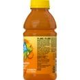 thumbnail image 4 of V8 Splash Tropical Blend Flavored Beverage, 16 fl oz Bottle, 4 of 8