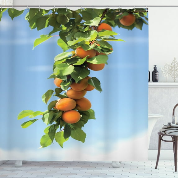 Apricot Shower Curtain, Ripe Apricots on Tree Green Leaves Around Blue Sky Print, Fabric Bathroom Set with Hooks, 69W X 84L Inches Extra Long, Orange Green and Pale Azure Blue, by Ambesonne