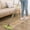 green_Hot#262, variant on 360° Rotatable Cleaning Mop with Stainless Steel Handle and Extension for Wet or Dry Floor Cleaning - Reusable Microfiber Mop for Tile, Wood, Laminate, and Hard Floors