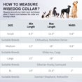 thumbnail image 2 of Collar para perro Wisedog, impermeable, ajuste múltiple, 20-60 cm, 2 of 7