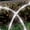 White, variant on Collections Etc Set of 4 Solar LED Arches Pathway Lights with 8 Modes