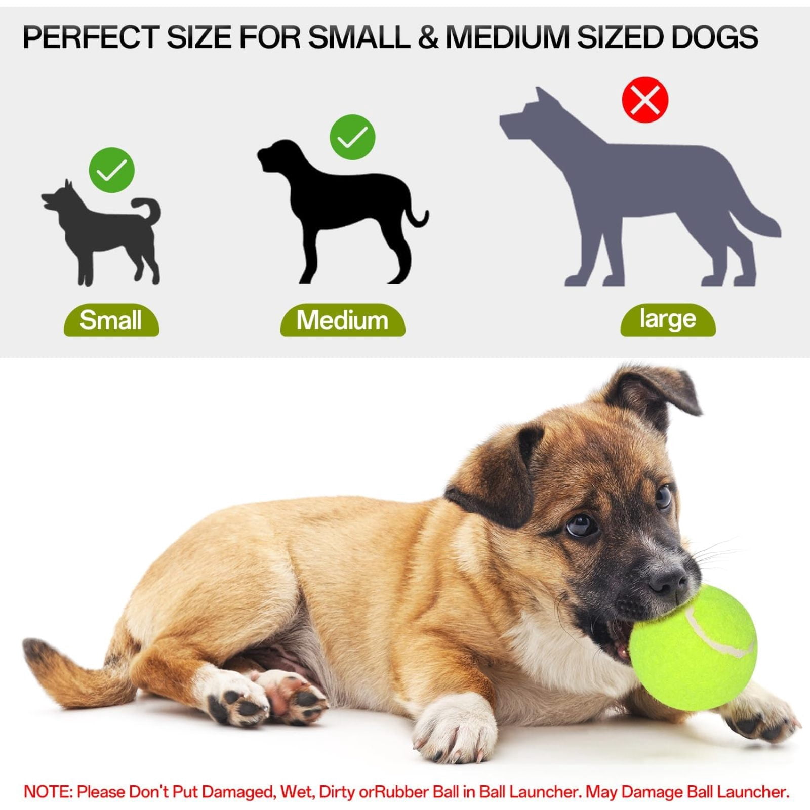 SQDWYGUO Automatic Dog Ball Thrower Launcher with 12 PCS Tennis Balls,Thrower Distance 10-30ft, Interactive Dog Fetch Machine Toy for Small Dogs,New Green