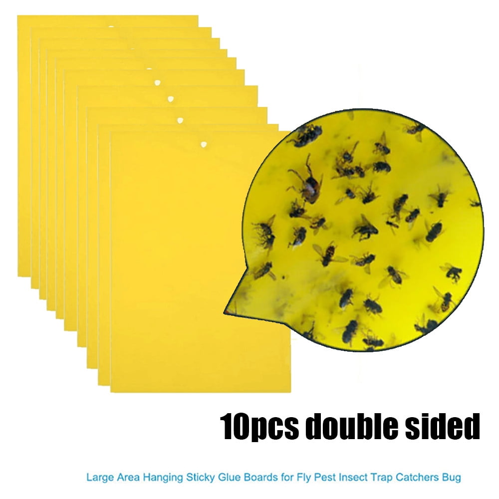 5Pcs Strong Flies Traps Bugs Sticky Board Catching Aphid Insects Pest Killer 