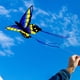 thumbnail image 3 of Hermosos juguetes voladores de cometas, juguetes para exteriores, fáciles de volar, juguetes de cometas voladoras, animales estiloB, 3 of 7