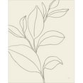 thumbnail image 2 of Great Art Now Line Leaves II Oasis by Karyn Panganiban, Framed Wall Art, 17W x 21H, 2 of 3