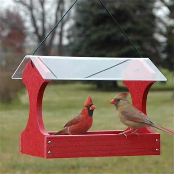 Woodlink Going Green Fly Through Bird Feeder, Red