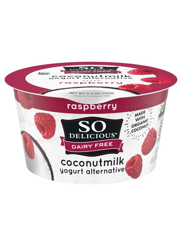 Non Dairy Yogurt in Yogurt