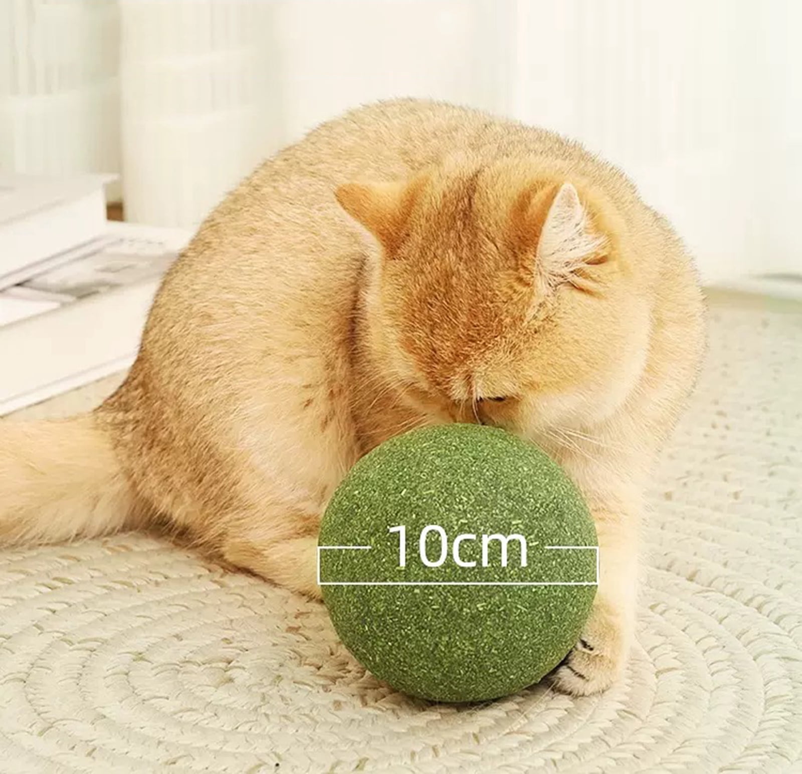 Jumbo Catnip Ball Toy with Mint Teeth Cleaning Chew