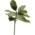 thumbnail image 6 of TUWAFE 3 Stems Real Touch Creamy White Southern Magnolia Flowers,Artificial Realistic Magnolia Grandiflora for Home Decor,silk flowers for home decor indoor, 6 of 6
