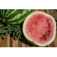 thumbnail image 2 of Plant Good Seed Sweet Dakota Rose Watermelon Seeds: Full Sun Heirloom Annual, Fast Growing Organic, 2 of 6