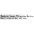 thumbnail image 3 of Kid Vits� Berry Lemonade � 120 Chewable Tablets, 3 of 10