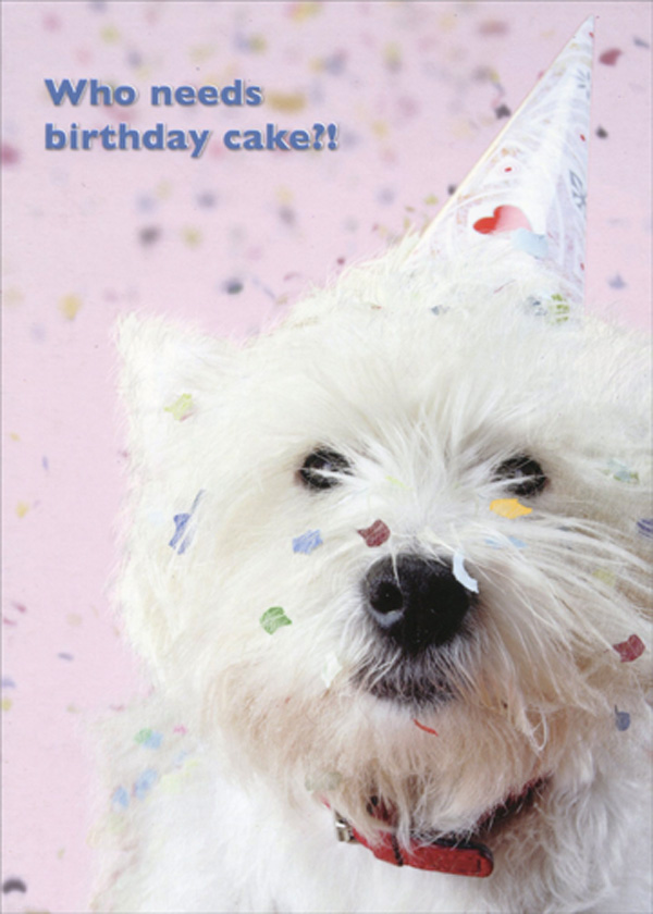 walmart dog birthday cake