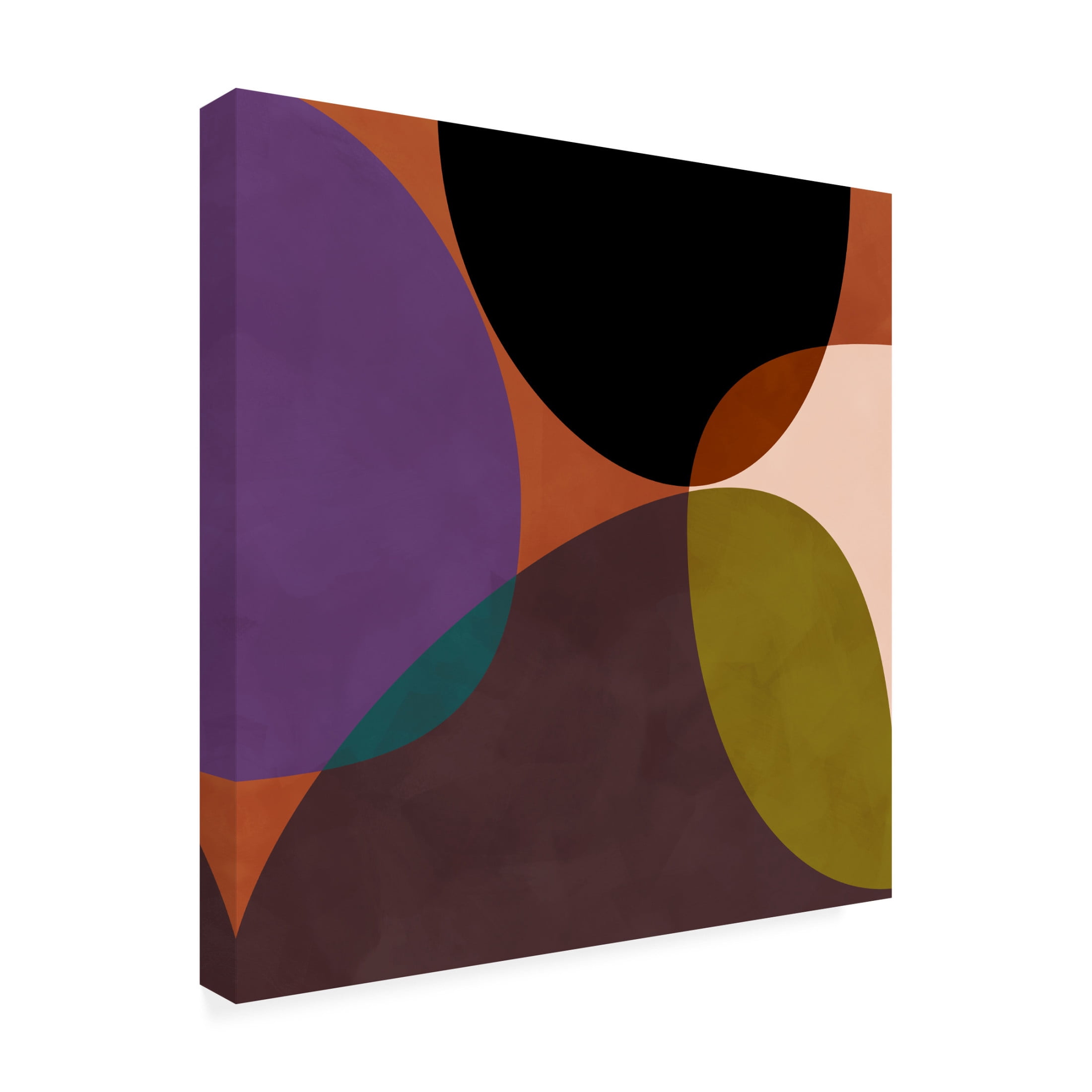 Trademark Fine Art Ana Rut Bre Mid Circles Terracotta Blck2 Canvas Wall Art