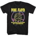 thumbnail image 1 of Pink Floyd Delicate Black Adult T-Shirt Lt, 1 of 2