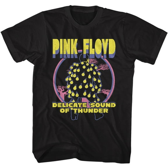 Pink Floyd Delicate Black Adult T-Shirt 3Xlt