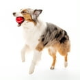 thumbnail image 3 of Playology Dog Toys | Squeaky Chew Ball, Beef Scented Toy - Jumbo, 3 of 6