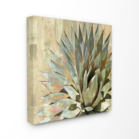 Amare Wall - The Stupell Home Decor Collection Green Painted Botanical Succulent Agave Leaves Stretched Canvas Wall Art, 17 x 1.5 x 17