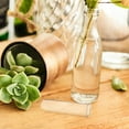 thumbnail image 2 of Propagation Tubes Hydroponic Vase Home Decoration Terrariums Desktop Glass 5 Pcs, 2 of 6