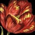 thumbnail image 3 of Vision Studio 15x15 Black Modern Framed Museum Art Print Titled - Mini Transitional Tulip I, 3 of 5