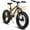 Gray, variant on Ecarpat 20x4 Inch Fat Tire Mountain Bike,Dual Disc Brakes Suspension Fork, 7-Speed Boys Girls Mountain Bikes, All Terrain Kids Mountain Bikes for Boys and Girls 8-15 Years Old
