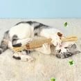 thumbnail image 6 of 14.96 Inches Natural Silvervine Sticks for Cats - Large Catnip & Catmint Blend Chew Toy for Teeth Cleaning, Dental Kitty Chews for Indoor Cats, Kittens, and Aggressive Chewers, 6 of 6
