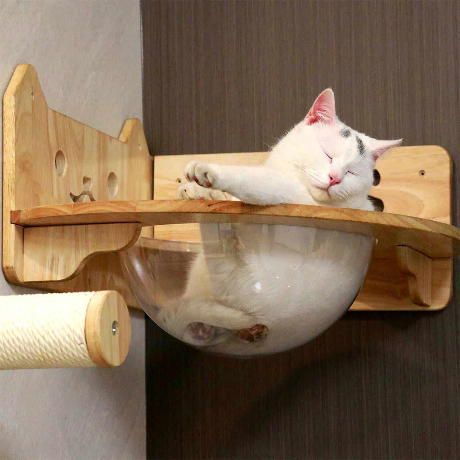 PETOMG Cat Perch, Cat Shelf, Wall Mounted Cat Furniture, Cat Spaceship | Rubberwood