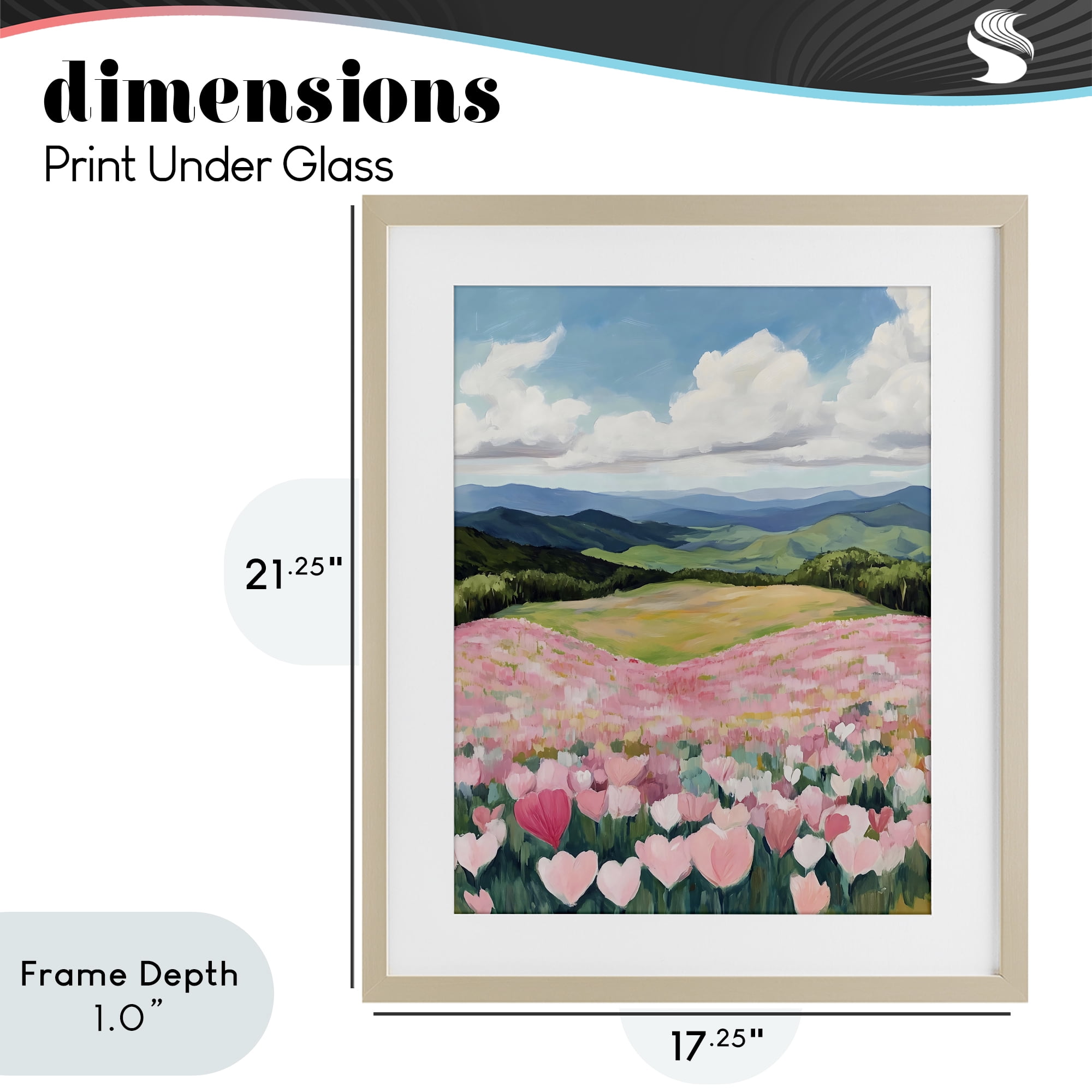 Stupell Industries Blush Pink Poppy Field Birch Framed Print Under Glass, design by The Prints Vibe