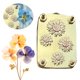 thumbnail image 3 of Kit Prensa Flores en Miniatura Microflor Metal para Amantes Las Plantas (girasoles), 3 of 8