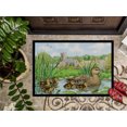 thumbnail image 3 of Carolines Treasures ASA2178MAT Canard Colvert Tapis d'Intérieur Ou d'Extérieur- 18 x 27, 3 of 4