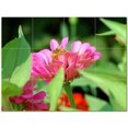 thumbnail image 1 of Flower Picture Ceramic Tile Mural Kitchen Backsplash Bathroom Shower 405028-S43, 1 of 9