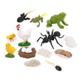 thumbnail image 1 of Ciclo de Animal Trabajador Rana Figuras de Modelo Juguetes Sunnimix Juego de crecimiento de insectos para niños, 1 of 8