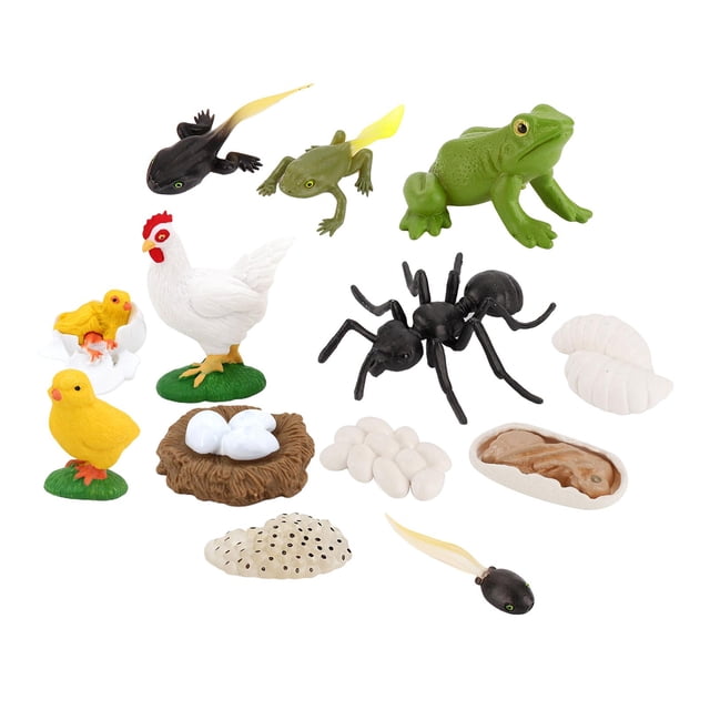 Ciclo de Animal Trabajador Rana Figuras de Modelo Juguetes Sunnimix Juego de crecimiento de insectos para niños