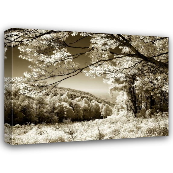 Alan Hausenflock 32x25 Gallery Wrapped Canvas Wall Art Titled - Swift Run Gap II