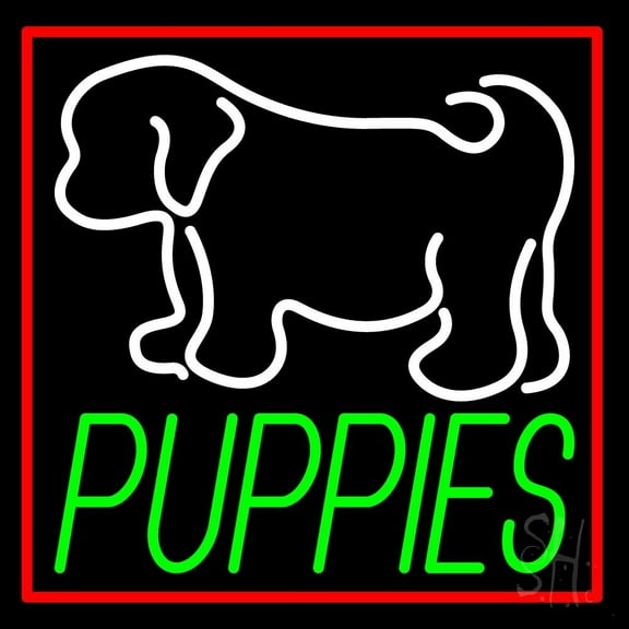 Puppies With Logo LED Neon Sign 16" Tall x 16" Wide - inches Black Square Cut Acrylic Backing, with Dimmer - Premium built indoor Sign for Club, Home décor, Event, Workshop, Storefront.