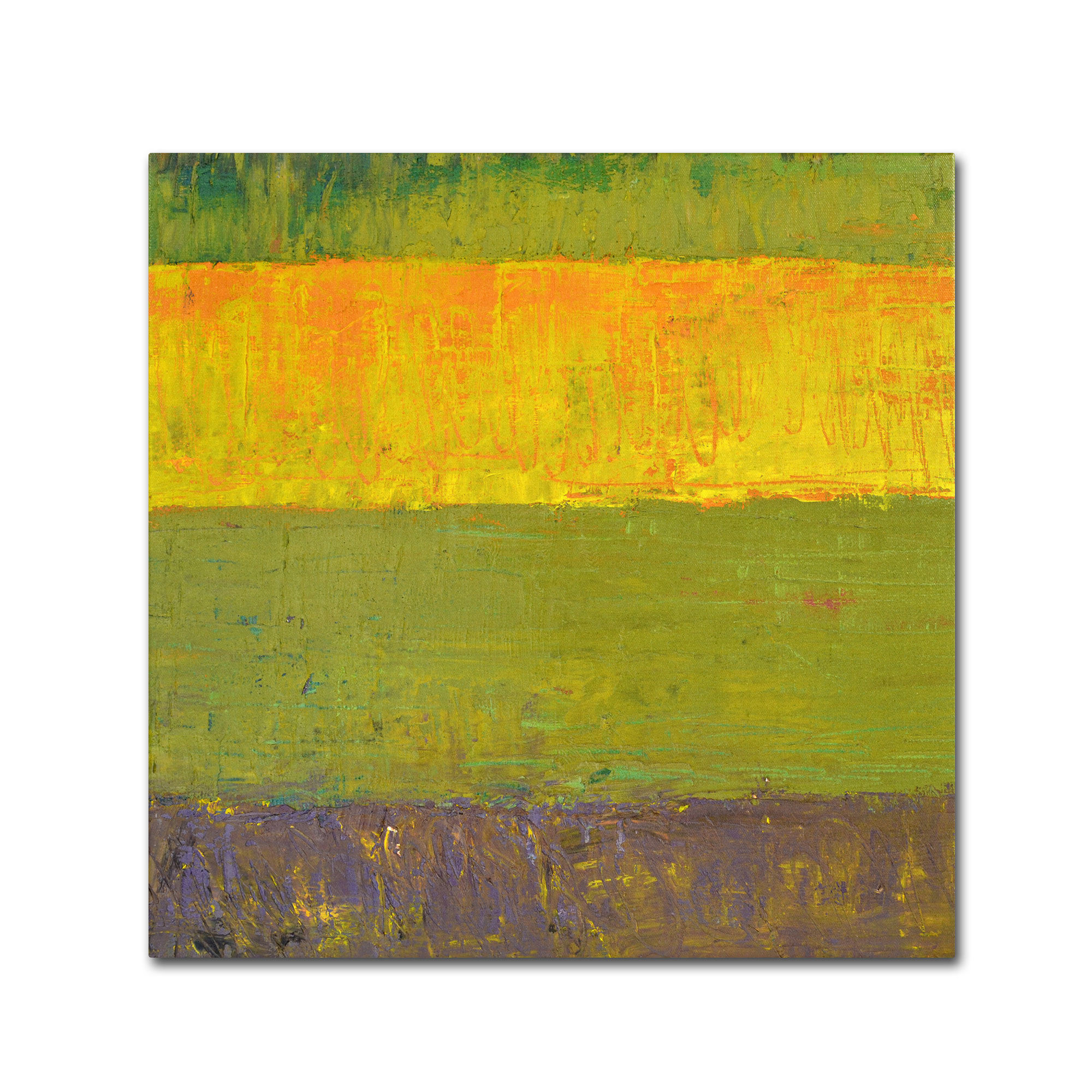 Trademark Fine Art "Highway Series Sunrise" Canvas Art by Michelle Calkins